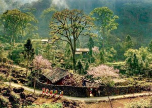 Hà Giang - Điểm sáng cho khách du lịch toàn cầu